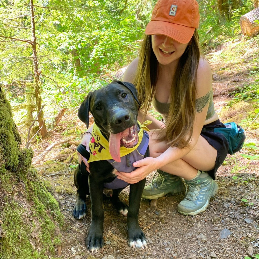 Meet your Posher, Hannah